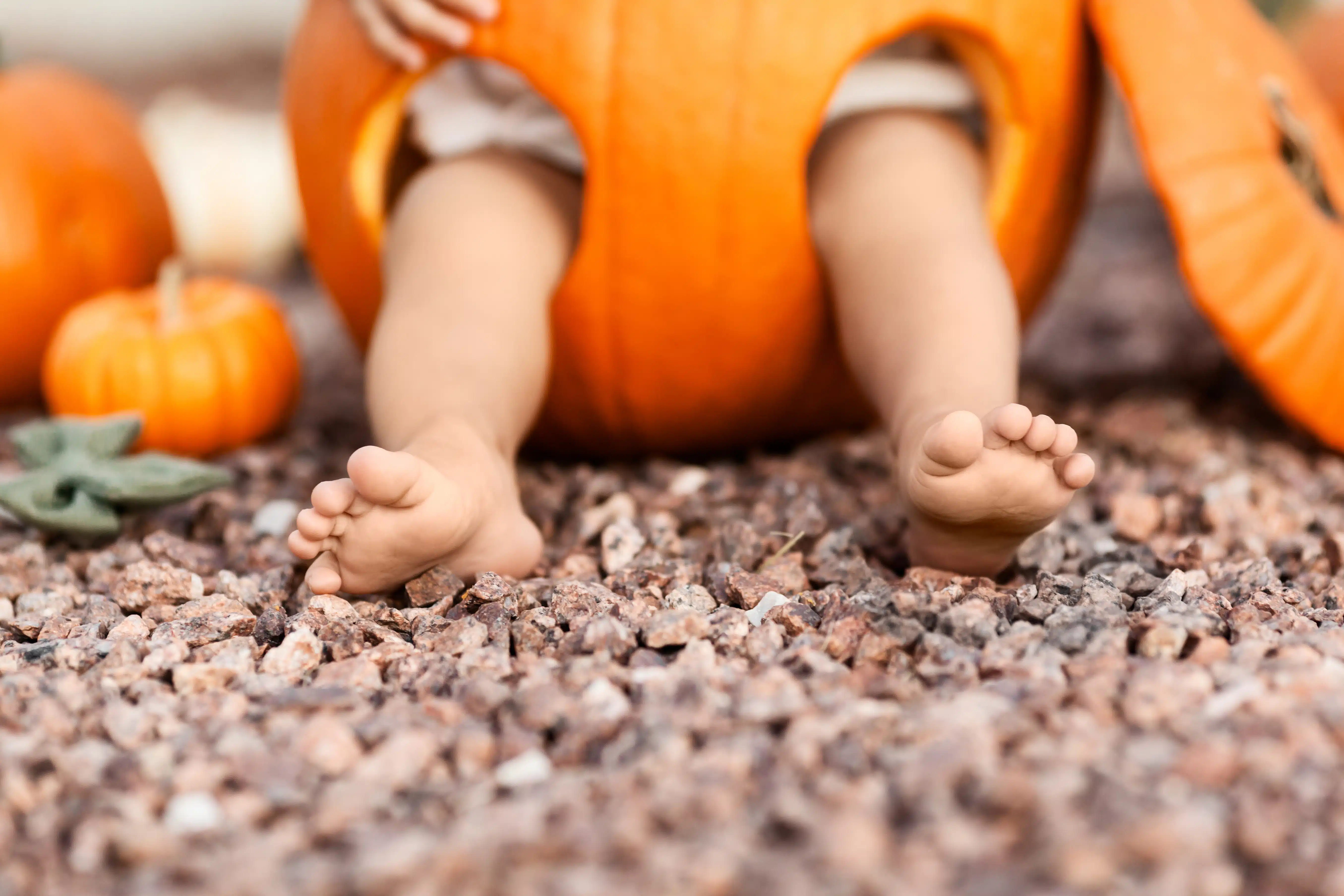 Closeup of baby legs inside orange pumpkin at Halloween, season holiday concept - Image